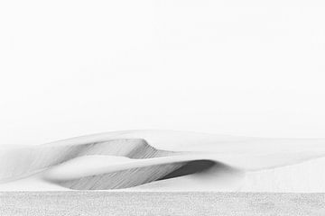 Image abstraite en noir et blanc d'une dune de sable dans le désert du Sahara.