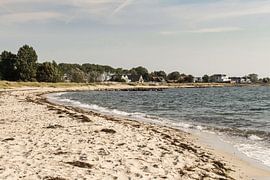 Fehmarn sur Lisa Scheffler