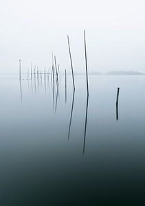 Stillness