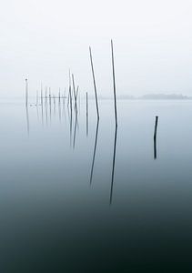 Stillness von Patrick Noack