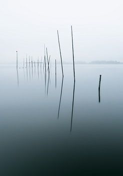 Stillness