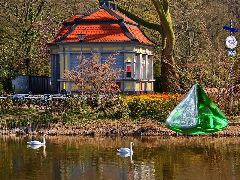 Cygnes par Edgar Schermaul