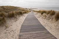 Walkway towards the Palendorp