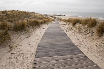 Spazierweg zum Palendorp von Marleen Savert