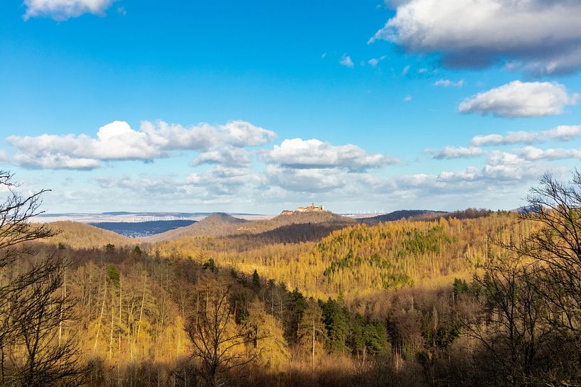Promenade printanière dans le sud-ouest de la forêt de Thuringe, avec vue sur le lac de Constance. par Oliver Hlavaty