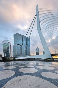 Le pont Erasmus sur Prachtig Rotterdam