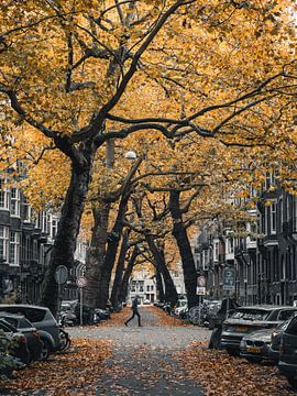 Lomanstraat im Herbst - Launisch #2 von Roger Janssen