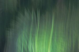 arboretum part 34