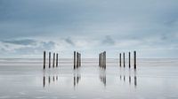 Palen op het strand van Schiermonnikoog  van Sigrid Westerbaan thumbnail