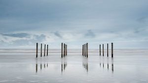 Palen op het strand van Schiermonnikoog  van Sigrid Westerbaan