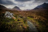 Isle of skye in Scotland van Digitale Schilderijen thumbnail