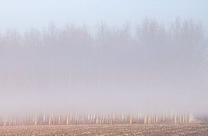 mist bomen van natascha verbij