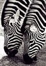 dubbel zien by John van Weenen thumbnail