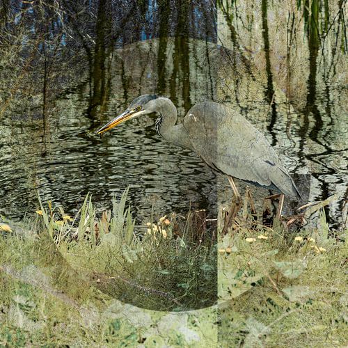 Reiger in het Vondelpark. Amsterdam. Grijs. Taupe.