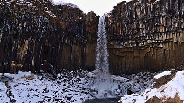 Svartifoss von Timon Schneider