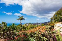 Blick auf einen Garten in Funchal auf der Insel Madeira, Portugal
