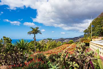 Blick auf einen Garten in Funchal auf der Insel Madeira, Portugal von Rico Ködder