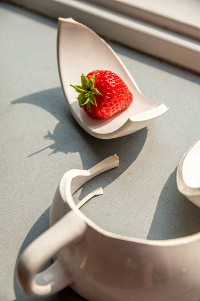 Strawberryfields forever - part 5 by Léontine Lamers