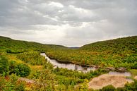 Start of Indian Summer by Vivo Fotografie thumbnail