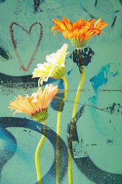 A heart for gerberas by Anette Jäger