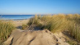 Dunes on the beach of Warnemünde by Heiko Kueverling