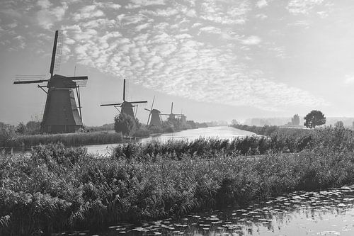 Vroeg op Kinderdijk