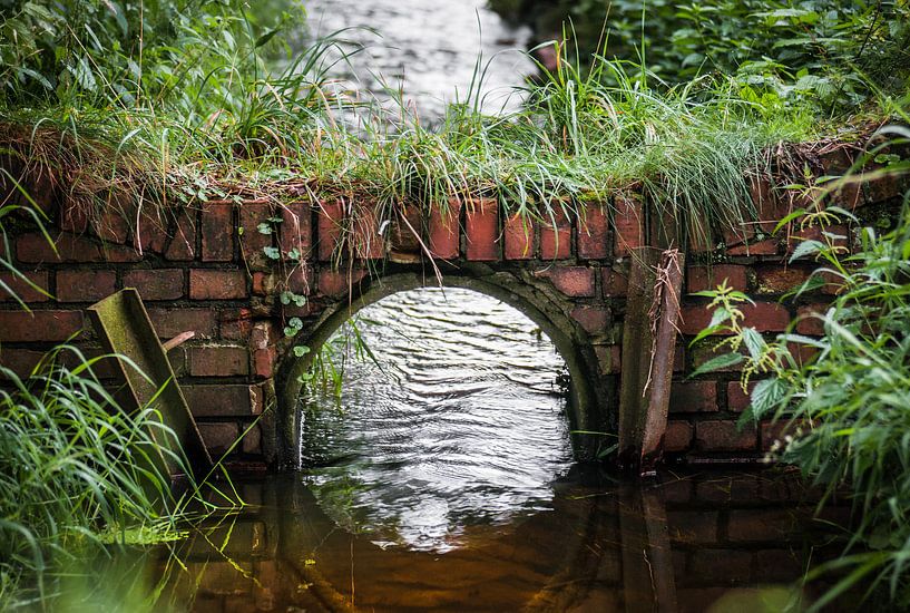 Tunnel over Sloot par Dennis Timmer