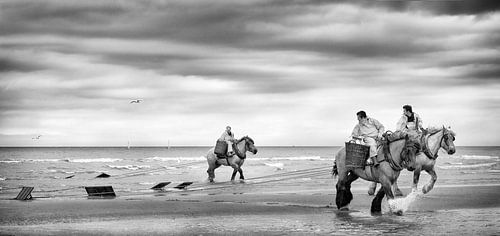 Shrimp fishermen on horseback