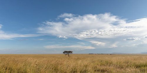 Landschap Tanzania
