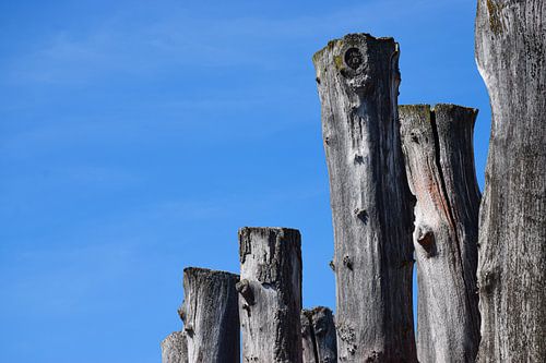 Kunst aan de Kust