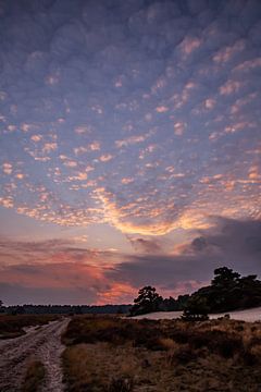 Farben des Sonnenuntergangs 1 - Loonse en Drunense Duinen von Deborah de Meijer