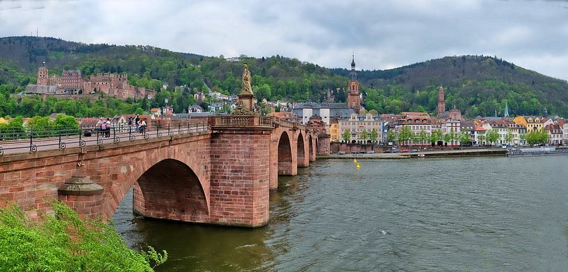Heidelberg Panorama van Edgar Schermaul