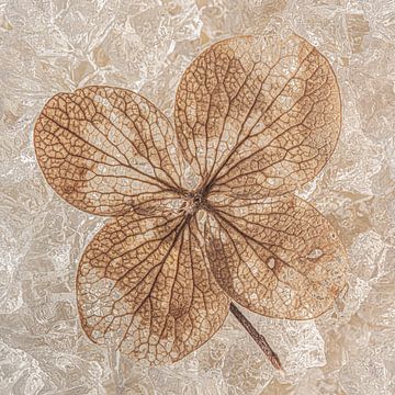 Square still life in brown and gold tones: The Hydrangea Leaf