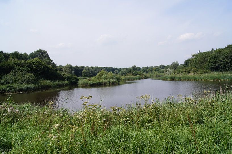 Nature of Zeewolde van Ronald en Bart van Berkel