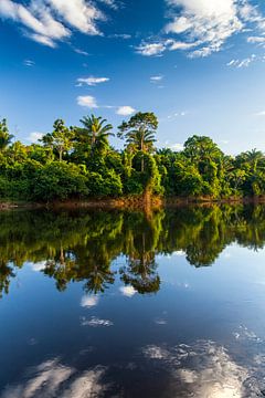 Zicht op de Suriname rivier, Suriname van Marcel Bakker