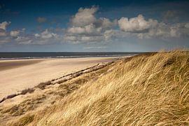 Sand dunes island Spiekeroog, Lower Saxony by Peter Schickert