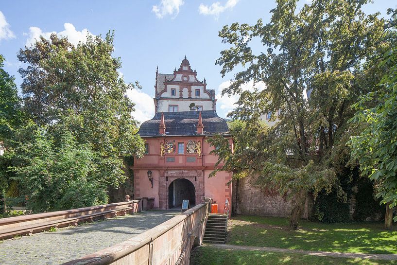 Darmstadt Residence Palace by Torsten Krüger