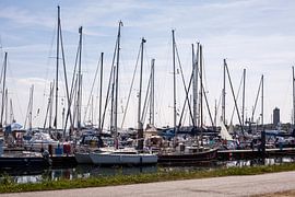 The harbour of Terschelling, The Netherlands by Jeroen van Esseveldt