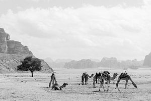 Wadi Rum en noir et blanc, Jordanie