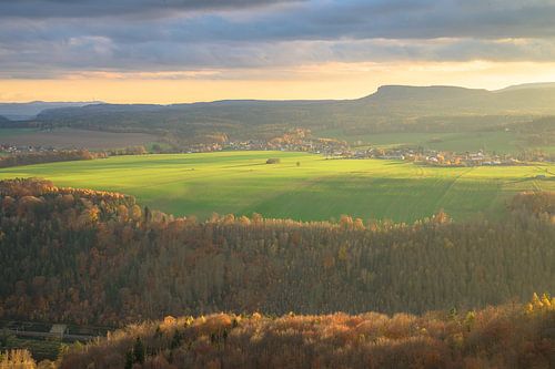 Baumgruppe von Matthias Coeler