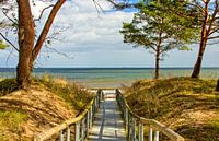 Een plek van verlangen op het strand