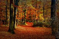Herfst Tafereel 2