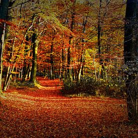 Herfst Tafereel 2 van Koen Lambooij