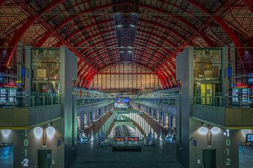 Antwerp Central Station by Dennis Donders