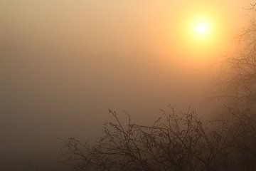 Lever de soleil à travers le brouillard, un matin de printemps. sur Maarten Pietersma
