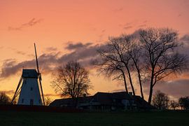 Le moulin de montagne à Anzegem sur Marcel Derweduwen