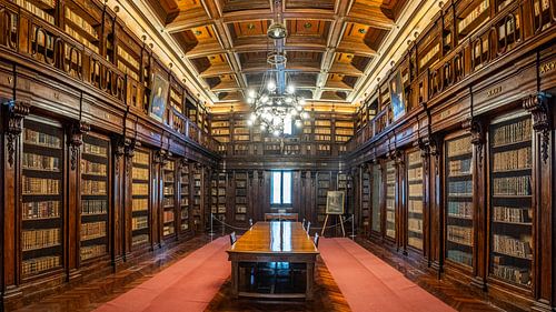 Biblioteca Alagoniana in Syracuse, Sicilië