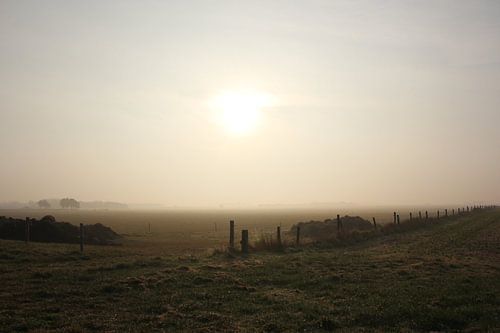 Texel Landschap 048