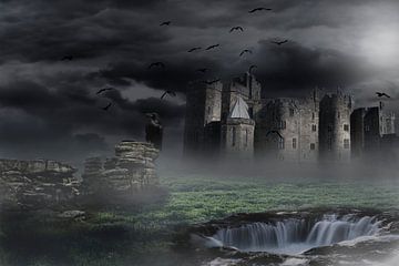 Fantasy kasteel van Danny van Vessem