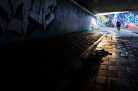 Tunnel mit Graffiti und Radfahrer Berenkuil Eindhoven von Ger Beekes Miniaturansicht